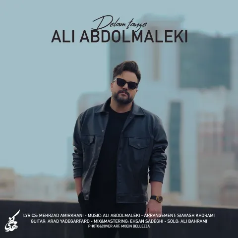 دانلود آهنگ دلم تنگه از علی عبدالمالکی