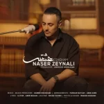 دانلود آهنگ عشقم از ناصر زینلی